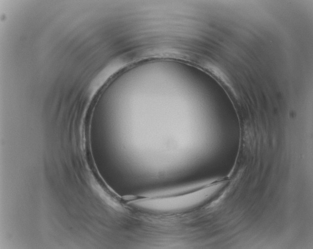 X0000065981082200603172109