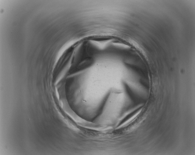 X0000065981085200603172109