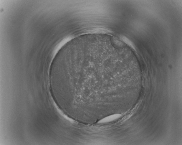 X0000065981087200603172109