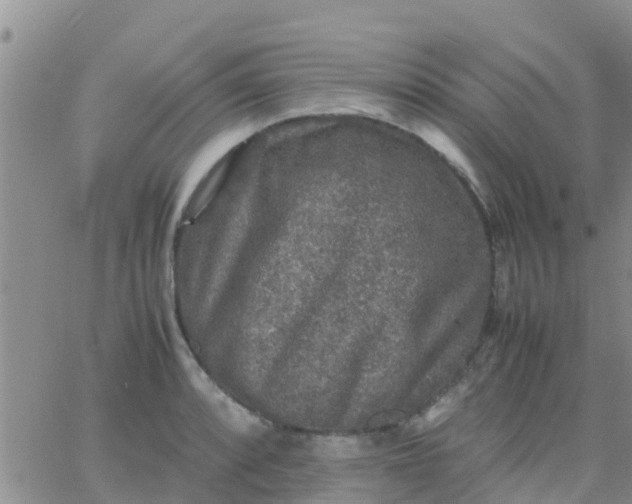 X0000065981088200603172109