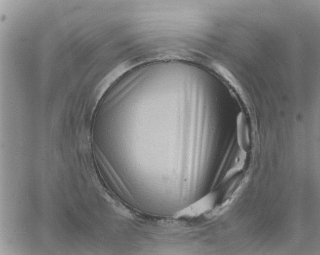 X0000065981089200603172109