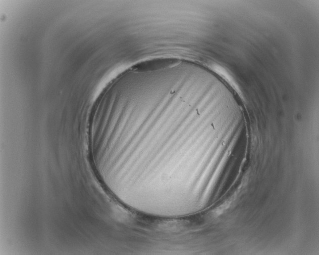 X0000065981093200603172109