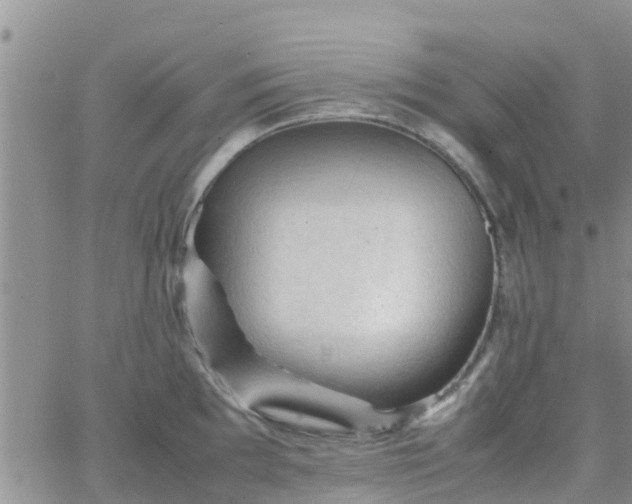 X0000065981097200603172109