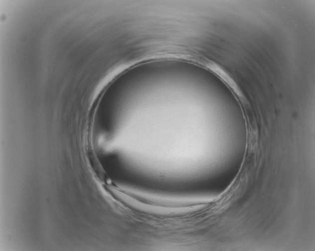 X0000065981101200603172109