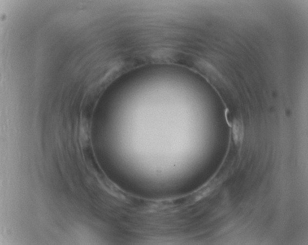 X0000065981107200603172108