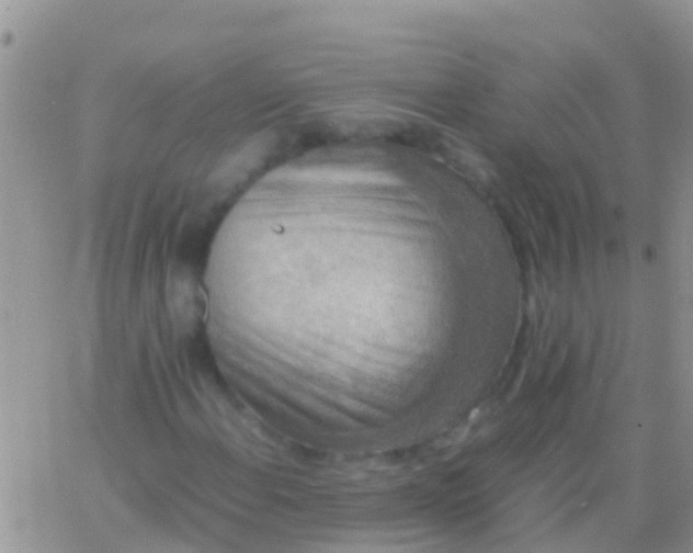 X0000065981108200603172108