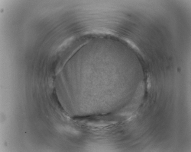 X0000065981110200603172108