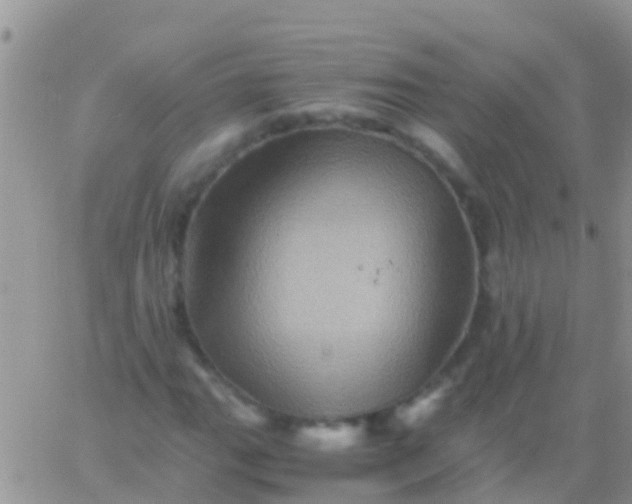 X0000065981111200603172108