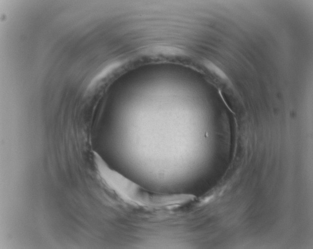 X0000065981112200603172108