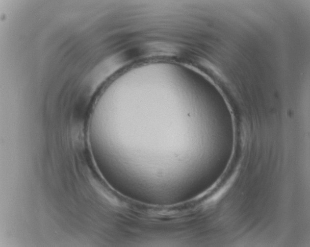 X0000065981113200603172108