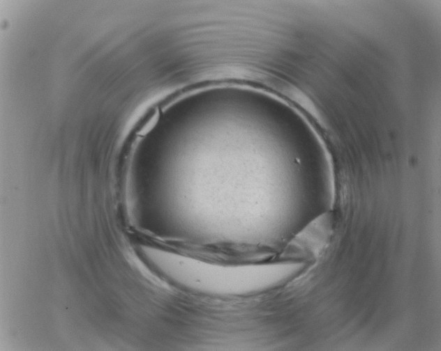 X0000065981116200603172108