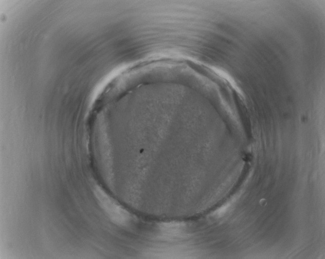 X0000065981118200603172108