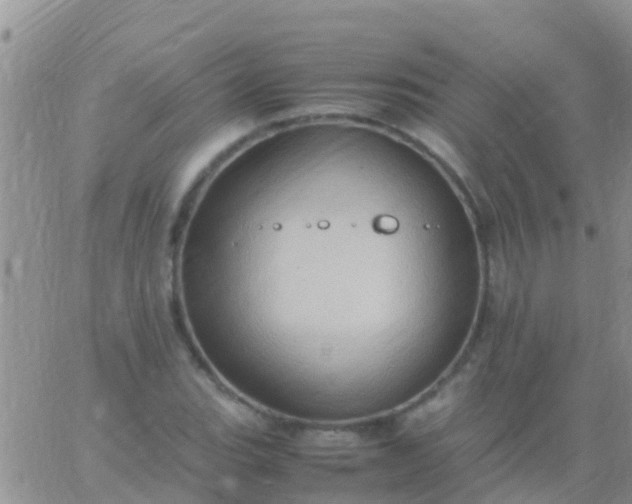 X0000065981119200603172108