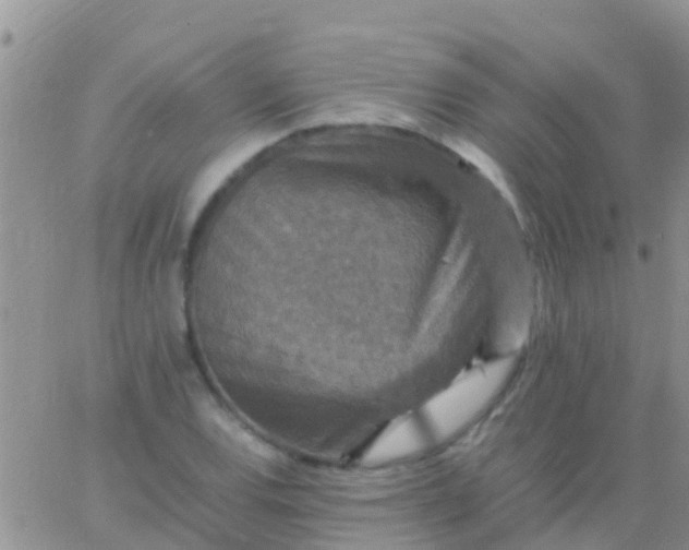 X0000065981120200603172108