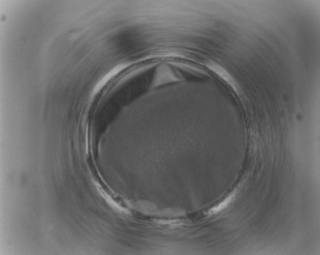 X0000065981127200603172108