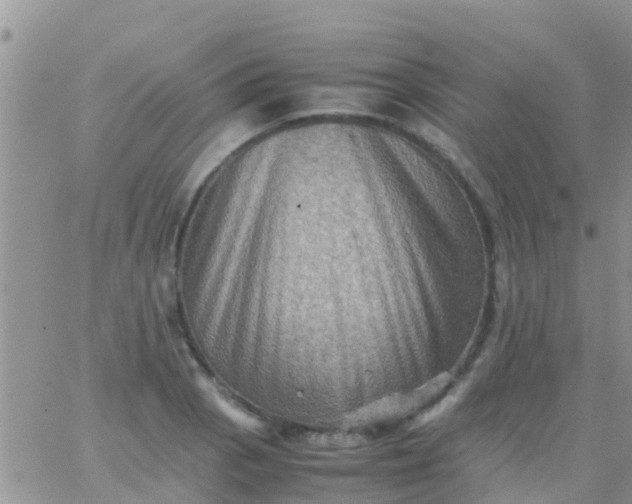 X0000065981129200603172108