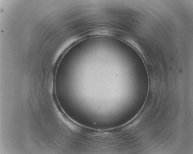 X0000065981131200603172108