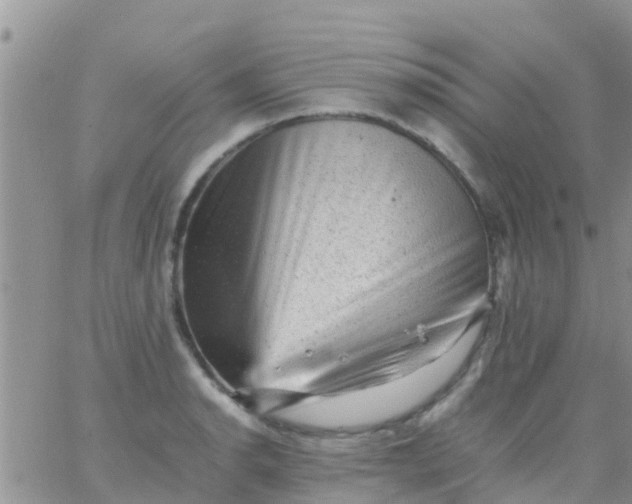 X0000065981134200603172108