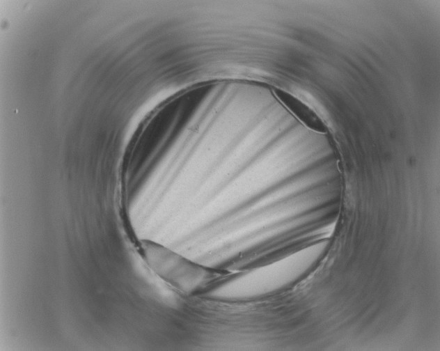 X0000065981136200603172108