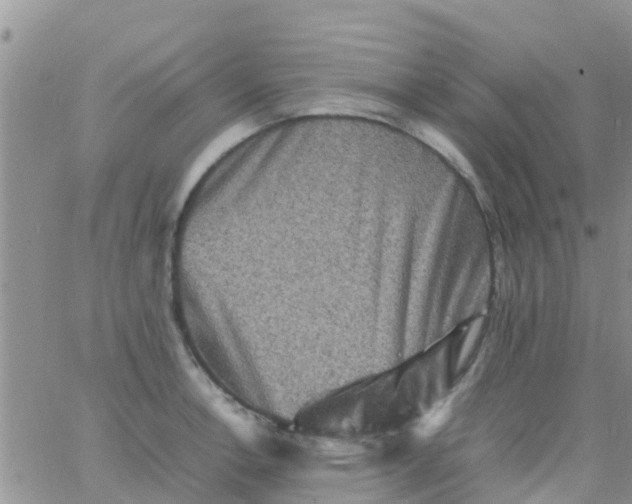 X0000065981138200603172108