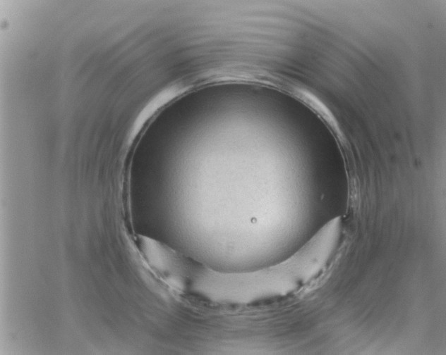 X0000065981146200603172109