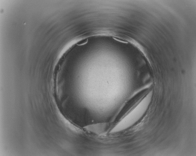 X0000065981147200603172109