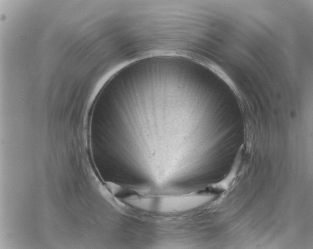 X0000065981148200603172109