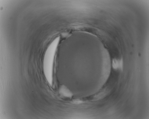 X0000065981155200603172108