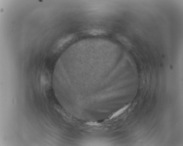 X0000065981158200603172108