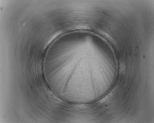 X0000065981162200603172108