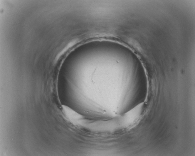 X0000065981165200603172108