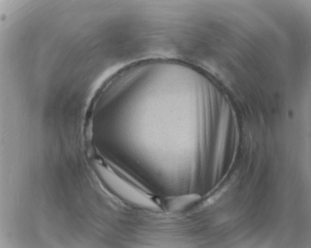 X0000065981168200603172108