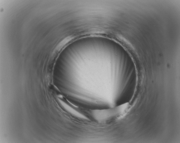 X0000065981169200603172108