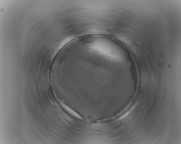 X0000065981170200603172108