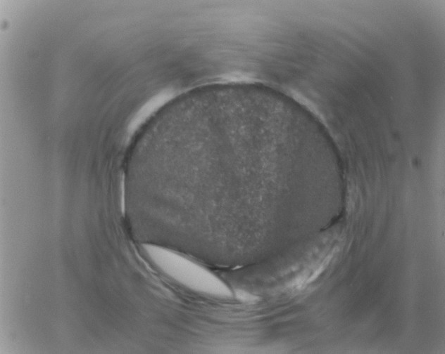 X0000065981171200603172108