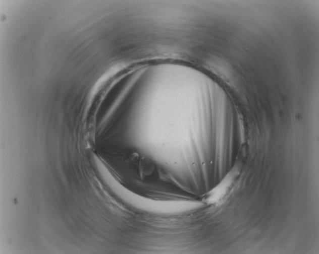 X0000065981172200603172108