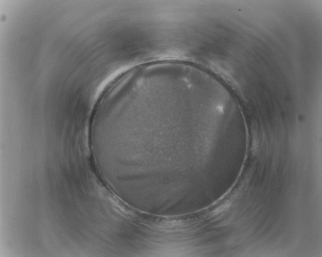 X0000065981174200603172108