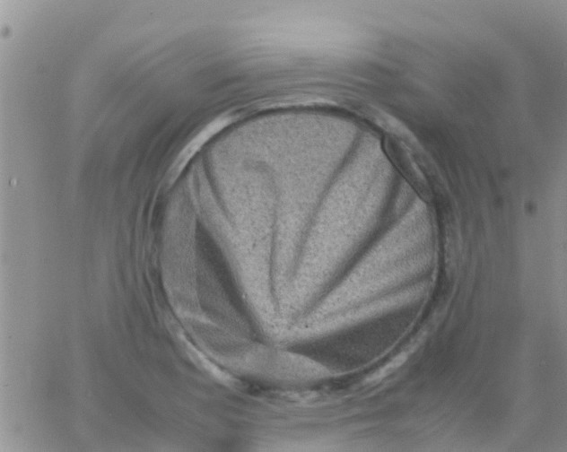 X0000065981177200603172107