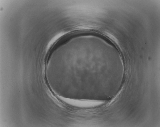 X0000065981179200603172107