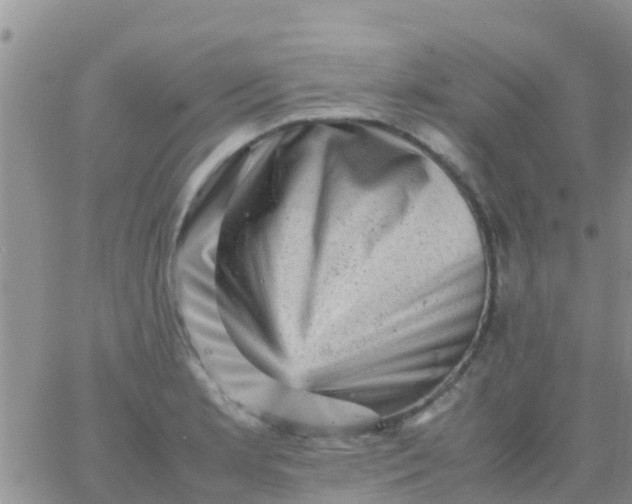 X0000065981181200603172107