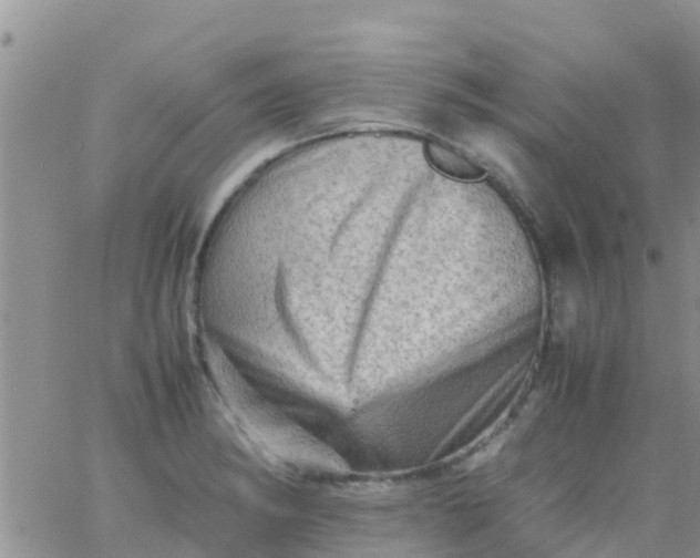 X0000065981182200603172107