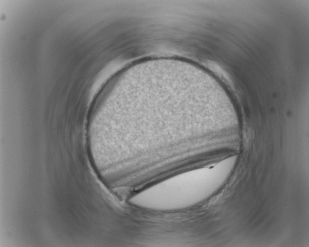 X0000065981183200603172107