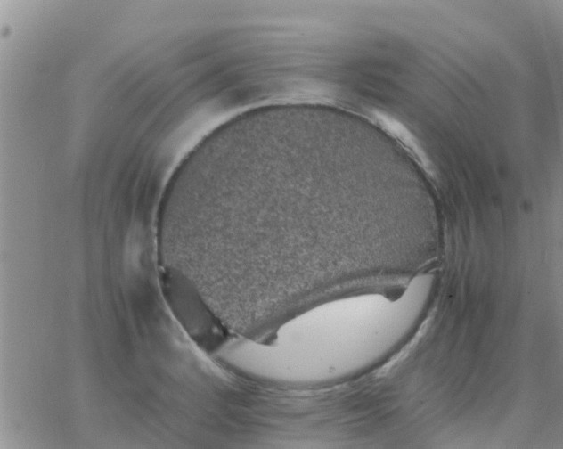 X0000065981184200603172107