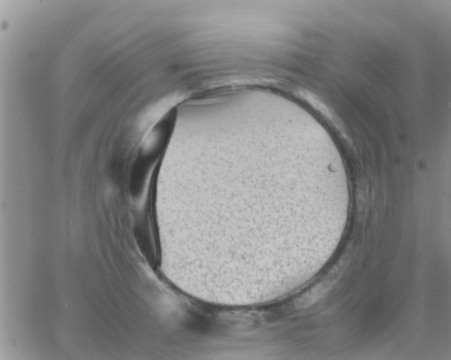 X0000065981185200603172107