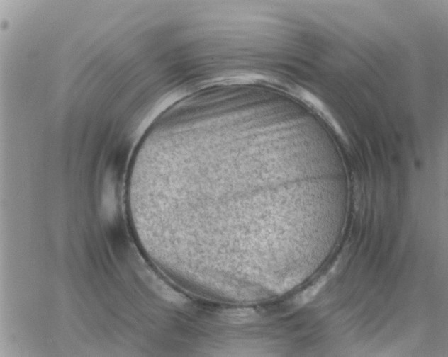 X0000065981186200603172107