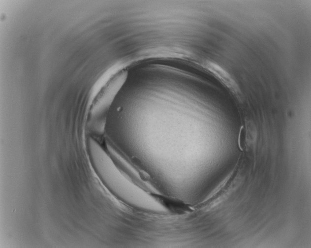 X0000065981188200603172107