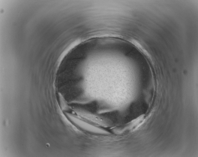 X0000065981189200603172107