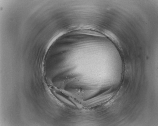 X0000065981190200603172107