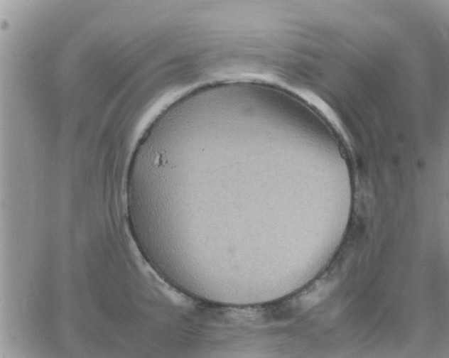 X0000065981191200603172107