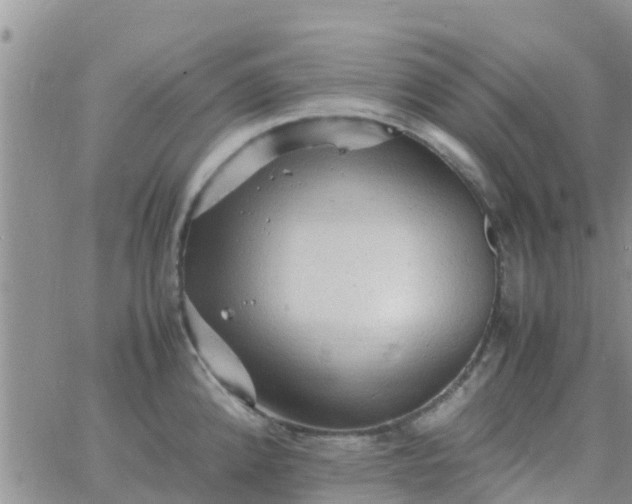 X0000065981192200603172107